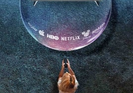 Todos los estrenos Netflix, HBO, Prime Video, Disney+ y Filmin para comenzar agosto con buen pie