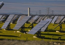El mercado eléctrico español: entre la libre competencia y la política