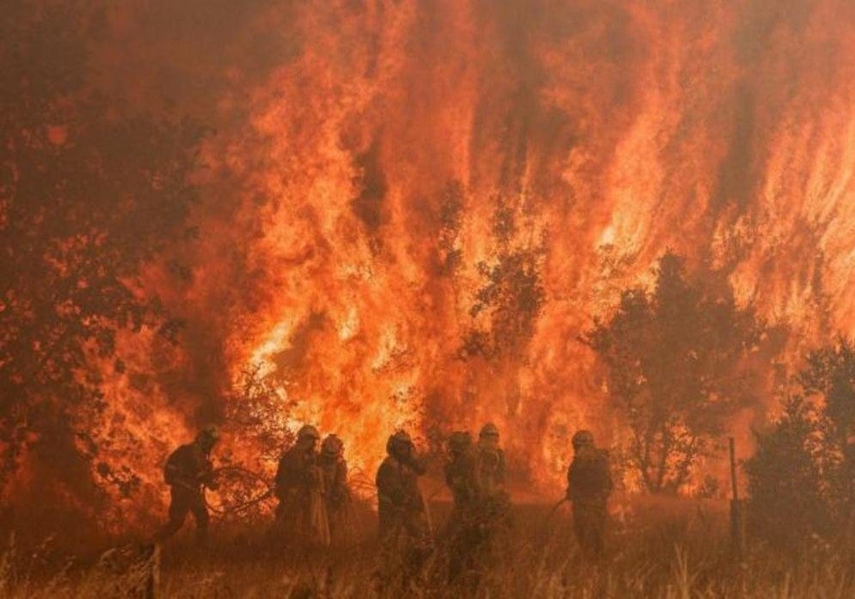 El incendio en la Sierra de la Culebra