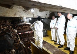 El Tribunal Superior de Madrid da vía libre a Patrimonio Nacional para recuperar las exhumaciones de Cuelgamuros