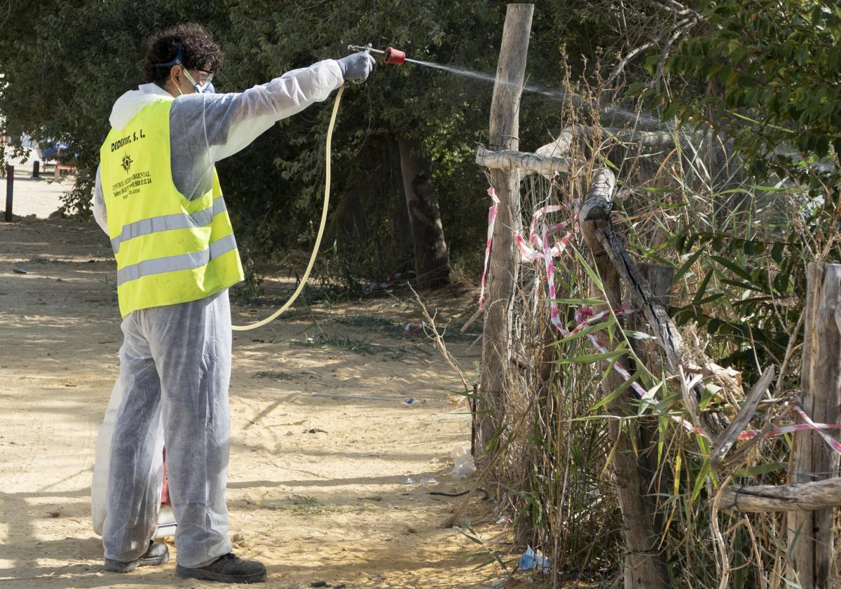 Trabajos de fumigación contra el virus del Nilo