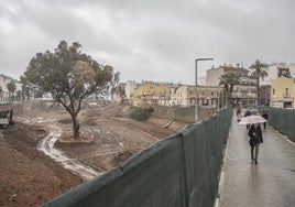 Medio Ambiente puso a disposición de Emergencias agentes para vigilar barrancos y cauces a las 11.54 horas del 29-O