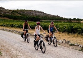 El vino, «motor de desarrollo rural»