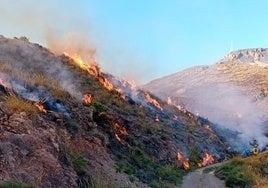 El Infoca da por estabilizado el fuego en Huércal de Almería que ha quemado más de 1.000 hectáreas