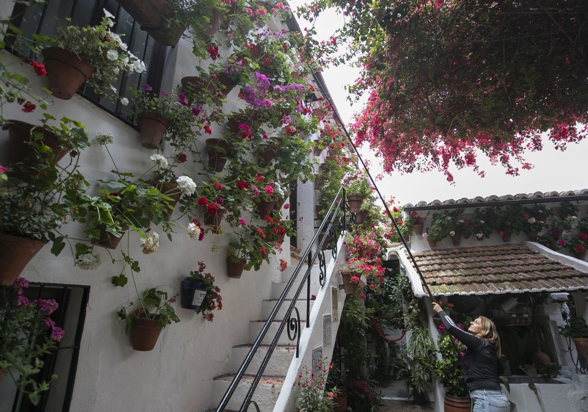 Una mujer riega flores en uno de los patios de Córdoba