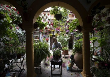 Los últimos preparativos en los Patios, en imágenes