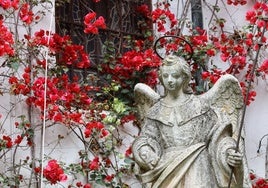 De la Sierra al corazón de Córdoba: el San Rafael que viajó de San Jerónimo para asentarse en un patio