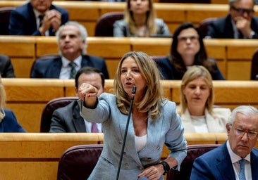El PP señala también a Marlaska por su gestión durante el gran apagón