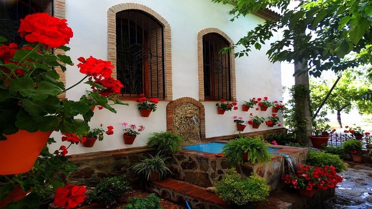 El espíritu de los Patios de Córdoba florece en la provincia con 74 recintos en más de 20 pueblos