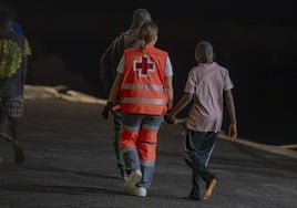 El Gobierno impone a Castilla y León acoger a 197 menores migrantes