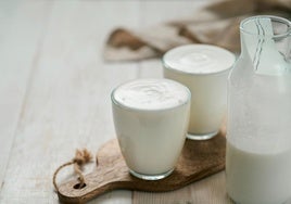 Oro blanco: el alimento olvidado que actúa como probiótico y mejora la flora intestinal