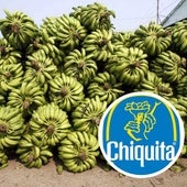 La sucesora de United Fruit Company, la empresa que dio origen a las repúblicas bananeras, es noticia décadas después
