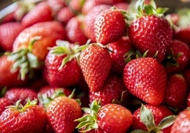 Ni en un plato ni en su propio envase: el truco para que las fresas aguanten frescas más tiempo en el frigorífico
