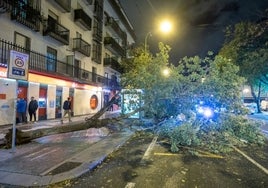 Sevilla desactiva el plan de emergencias tras más de 500 incidencias por la borrasca Bernard
