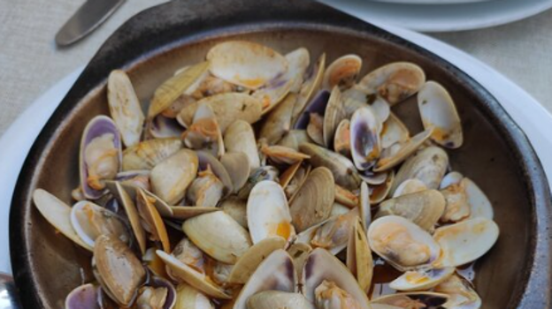 Dónde comer las mejores coquinas de Huelva: restaurantes, bares y chiringuitos