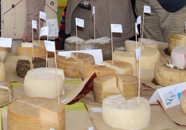 Villaluenga del Rosario se prepara para la XVI Feria del Queso Artesanal de Andalucía