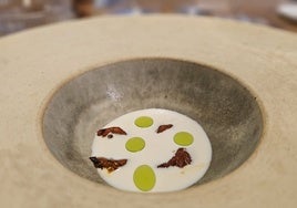 Restaurante Mare: Raíz y mar