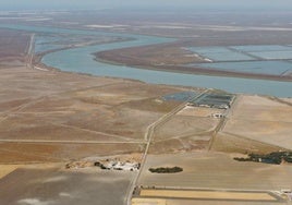 Dos millones para restaurar las marismas de Trebujena
