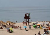 La comunidad de surfistas de Cádiz: «Lo que pasó este domingo en las playas de Cádiz es crónica de una muerte anunciada»