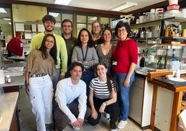 Investigadores de la UCA coordinan un estudio que demuestra el papel clave de unas células poco conocidas en el Parkinson