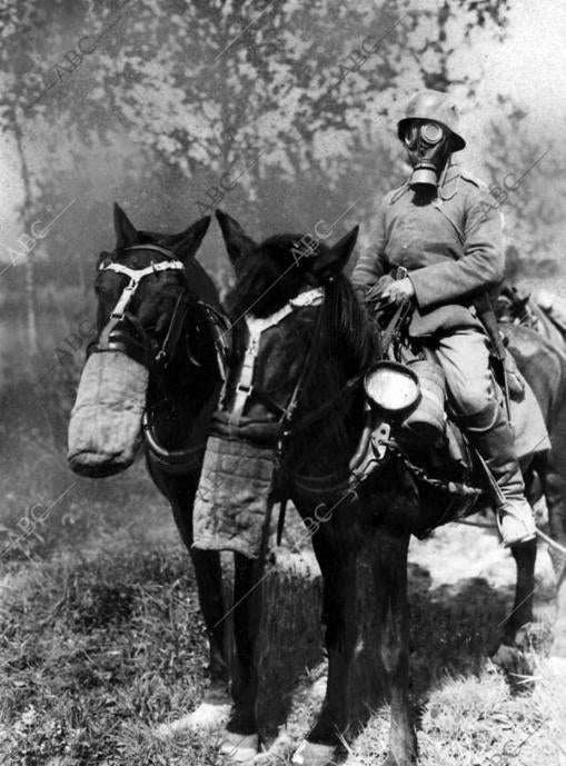 Jinetes y caballos provistos de caretas contra los gases asfixiantes
